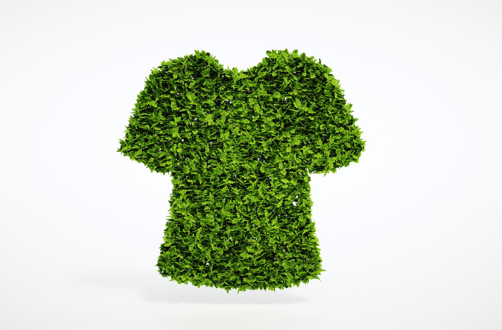 Sustainable Fashion Consulting